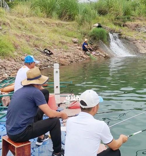 钓鱼开口技巧教学（掌握妙招提高钓鱼成功率）  第2张