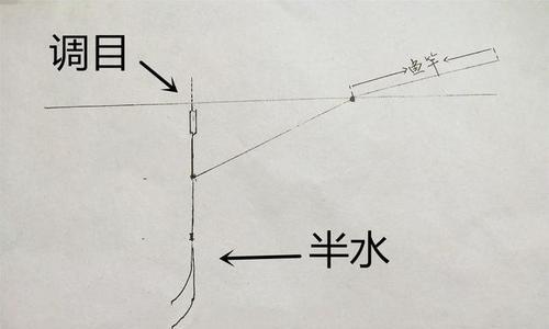 探秘钓鱼看漂调漂技巧（提高钓鱼技术，轻松捕获丰收）  第1张