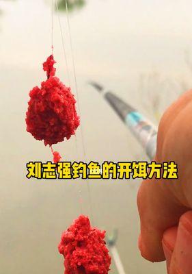 钓鱼水库开饵技巧与方法（提升钓鱼技术，享受丰富收获）  第3张