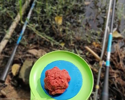 钓鱼水库开饵技巧教学（掌握技巧，提高钓鱼水库开饵效果）  第2张