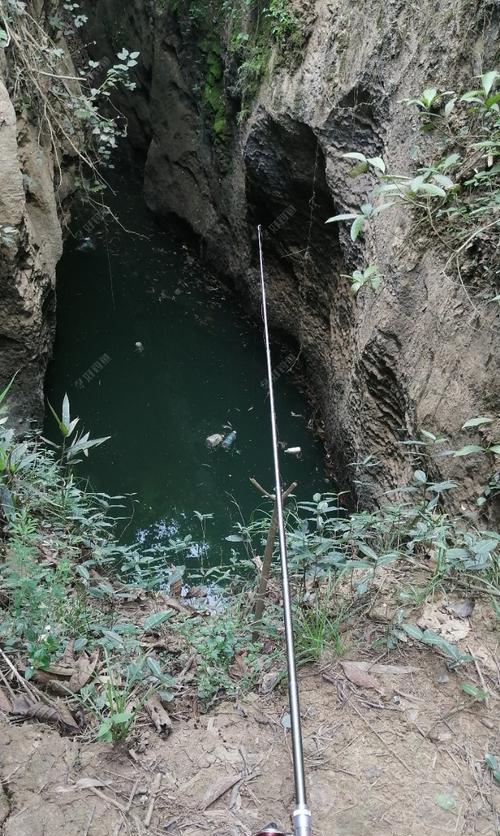 钓鱼水位调节技巧——钓友必备（掌握钓鱼水位调节技巧，轻松提升钓鱼成功率）  第2张