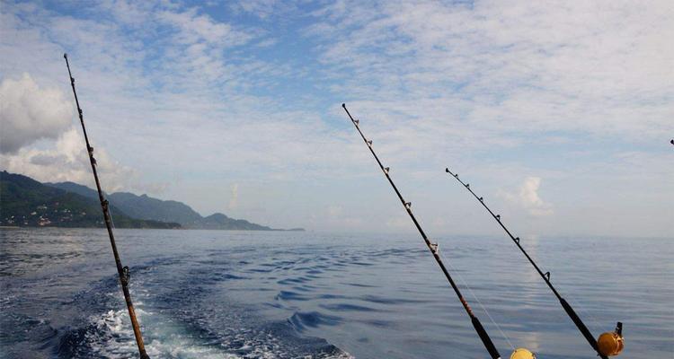 钓鱼水下测量技巧（探索水下世界的秘密，钓鱼也能更精准）  第3张