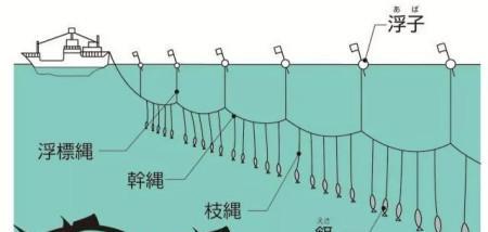 掌握钓鱼四大技巧，提升钓鱼技能（让你成为钓鱼高手的关键技巧）  第1张