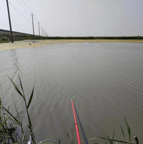 冬天钓鱼技巧之钓鱼提竿时机（抓住冬季鱼儿进食高峰，提竿钓鱼的窍门）  第1张