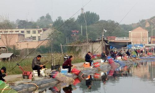 钓鱼偷驴技巧教学（掌握捕鱼技巧，轻松驭驴行）  第1张