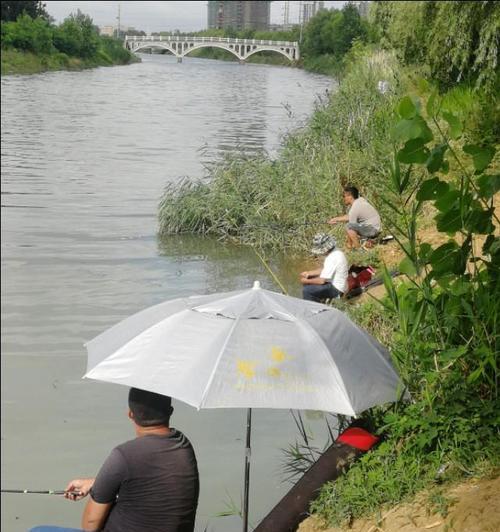 钓鱼喂食的方法和技巧（掌握这些技巧，让钓鱼更加轻松愉快）  第2张