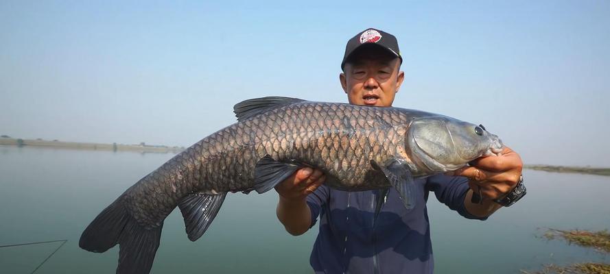 钓鱼喂食笼的技巧与方法（掌握钓鱼喂食笼的关键，提高钓鱼效果）  第3张