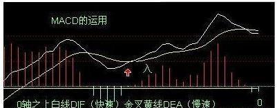 钓鱼线出货技巧（提高钓鱼线出货效率的实用技巧）  第1张