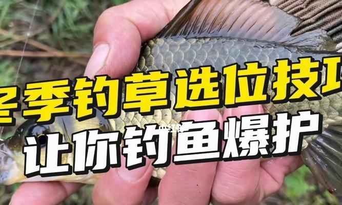 钓鱼小技巧大揭秘（实用简单，助你成为钓鱼高手）  第1张