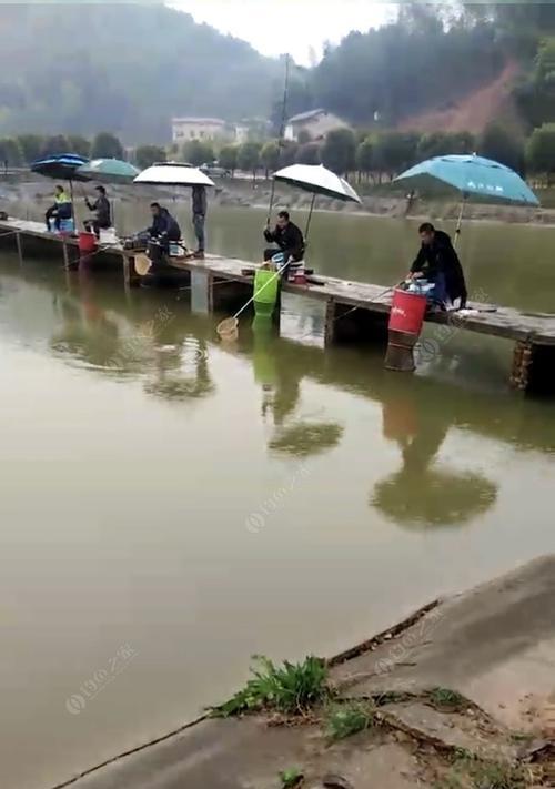 校园钓鱼小技巧（探秘校园钓鱼新玩法，助你成为钓鱼高手）  第1张