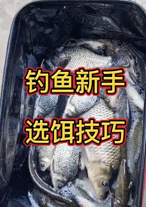 钓鱼小颗粒开饵技巧（提升钓鱼效果的关键）  第1张