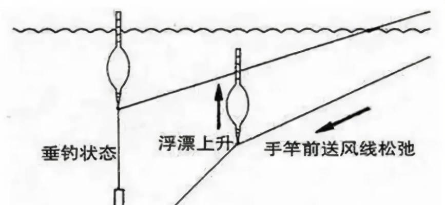 钓鱼高手的定位技巧与方法（掌握这些技巧，让你的钓鱼更加得心应手！）  第2张