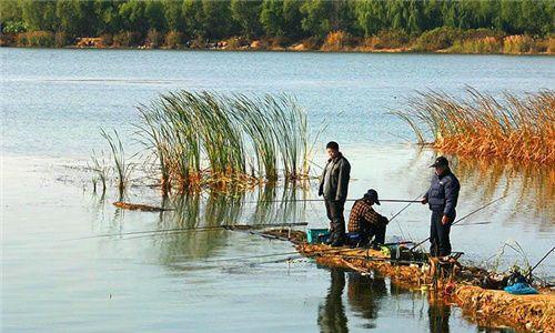 东澳水库钓鱼技巧大揭秘（挑战极限、享受乐趣）  第2张