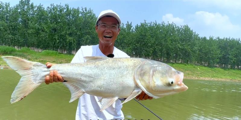 东北河川流水钓鱼技巧（探秘东北河川流水钓鱼的高招）  第2张