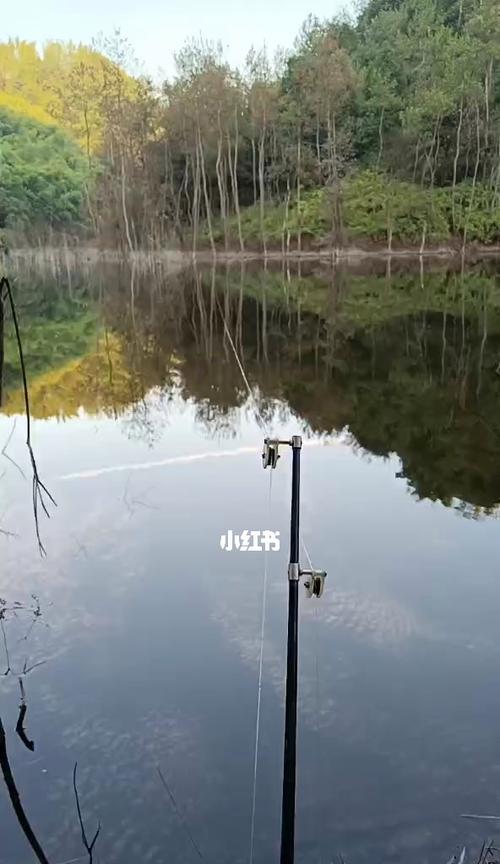 东北秋天水库钓鱼技巧（探秘东北水库秋季钓鱼技巧，助您成为钓手）  第2张