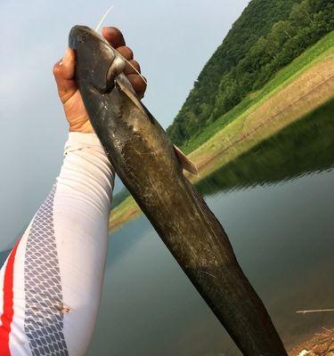 冰钓松花湖（东北松花湖冬季冰钓方法技巧，让您轻松享受丰收乐趣）  第3张