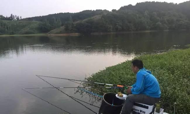 东北夏季水库钓鱼技巧与方法（探秘东北夏季水库钓鱼技巧，轻松捕获丰富渔获）  第3张