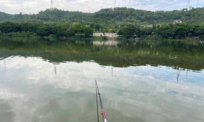 东莞东江河钓鱼技巧（掌握东莞东江河钓鱼技巧，提升钓鱼成功率）  第3张