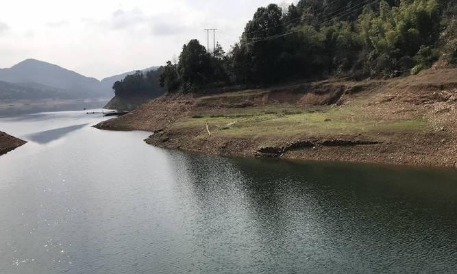 东莞山体水库钓鱼技巧（畅游鱼群的秘密，尽在东莞山体水库钓鱼技巧）  第1张