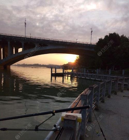 东莞松山湖钓鱼技巧（探秘钓鱼技巧，畅享松山湖美景）  第1张