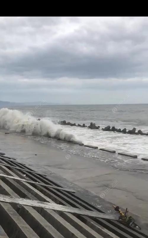 东海岸钓鱼技巧揭秘（从垂钓技巧到鱼群行踪，让你成为东海岸的钓鱼高手）  第2张