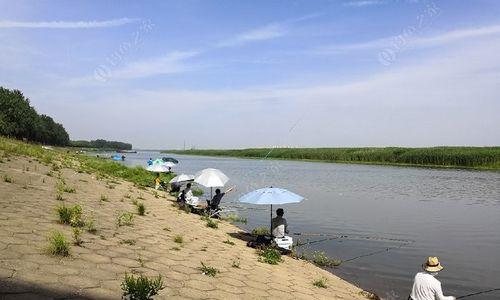 东荆河钓鱼技巧大揭秘（掌握这一技巧，钓鱼轻松无忧）  第2张