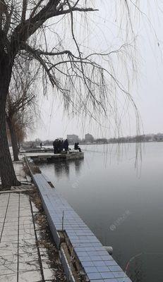 东营石油平台钓鱼技巧（海上钓鱼新手指南）  第3张