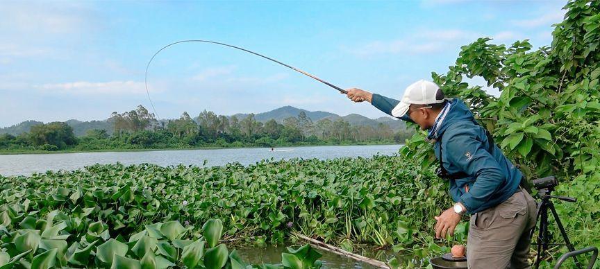 冬季草丛钓鱼技巧（寒冷季节里钓草丛的窍门与技巧）  第1张