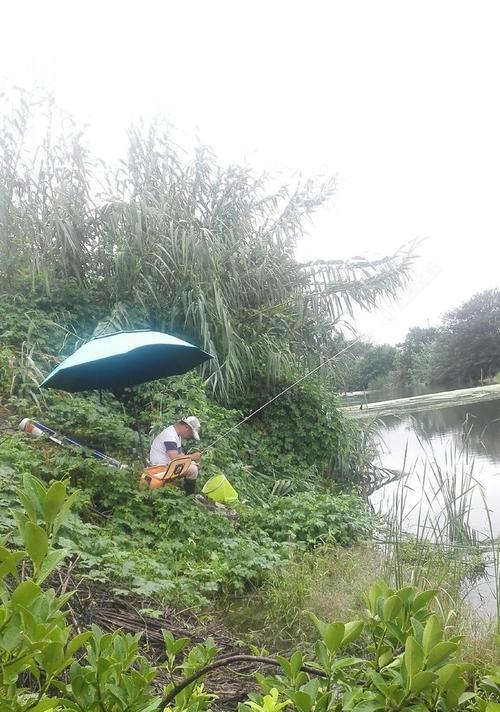 冬天钓鱼的技巧——应对大风雨天的挑战（冬钓乐趣倍增）  第2张