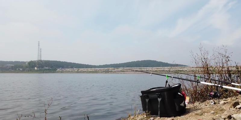 冬天海竿野钓鲤鱼的技巧与方法（冬季海岸线钓鲤鱼）  第3张