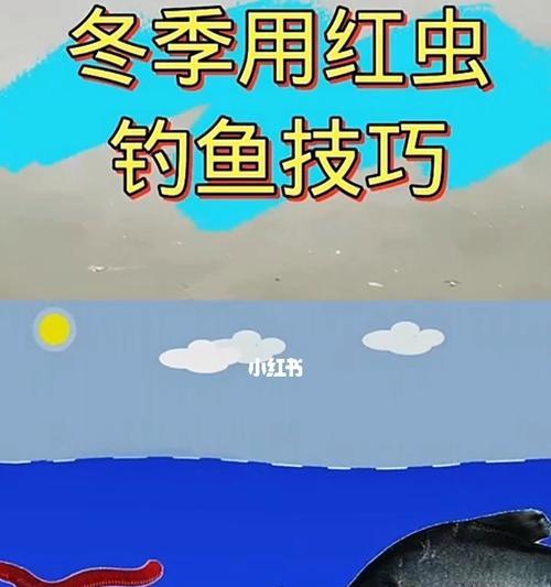 冬天海水钓鱼技巧大揭秘（战胜严寒）  第1张