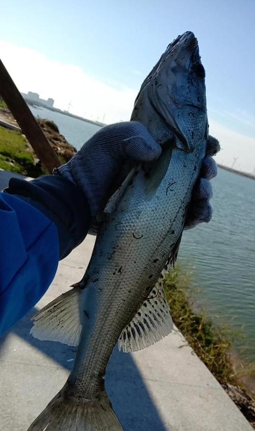 冬天河流海竿钓鱼技巧（冬季河流钓鱼的窍门）  第1张