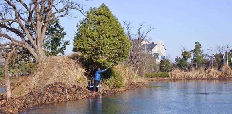 冬天湖面钓鱼技巧（寒冷季节里）  第1张