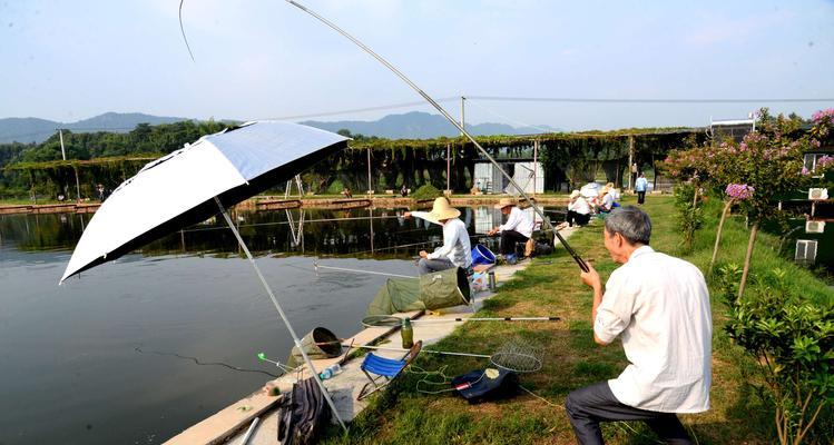 冬天湖水结冰，钓鱼技巧（冬季钓鱼有诀窍）  第3张