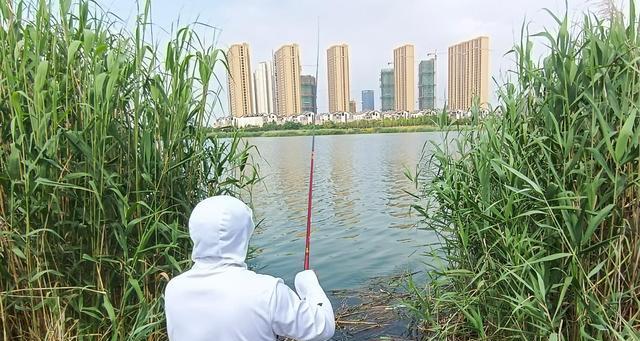 冬天梅雨钓鱼技巧（雨季渔获丰盛）  第1张