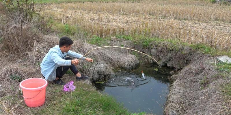 冬天深水坑钓鱼技巧与方法（钓鱼好时机掌握住冬天深水坑诀窍揭秘）  第1张