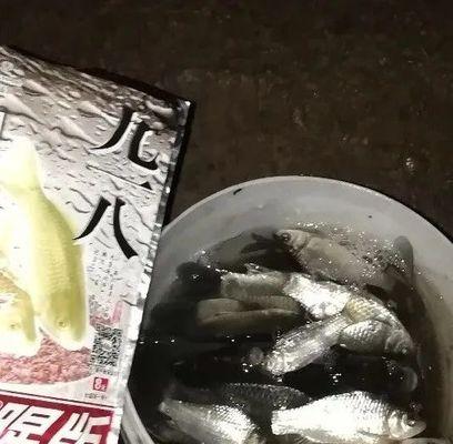 冬季夜钓鲫鱼的技巧和方法（寒冬中的温暖收获）  第2张