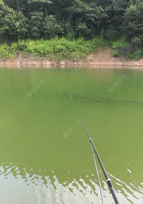 冬季水库钓鱼技巧——是钓深还是钓浅（探究冬天水库钓鱼的深度）  第2张