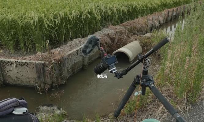 冬季水渠钓鱼技巧与方法（寒冷季节在水渠中钓鱼的关键技巧）  第3张