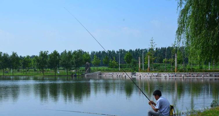 冬季水域钓鱼技巧（冬天水域钓鱼的方法和技巧）  第3张