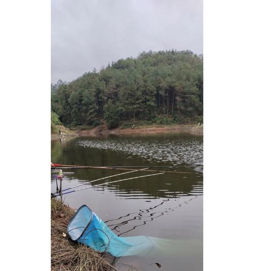 冬天小雨钓鱼的技巧（冬天小雨中的钓鱼心得与经验分享）  第3张