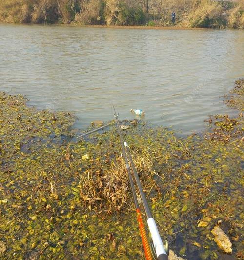 冬天野河水钓鱼技巧（冬天野河水钓鱼的窍门和技巧）  第2张