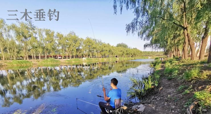 夏季白天水库钓鱼技巧（以矾竿为工具）  第1张