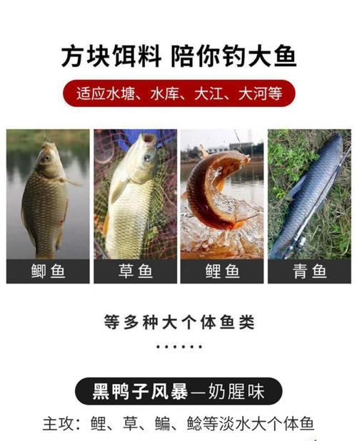 探秘方块饵抛竿钓鲢鳙（技巧详解）  第2张