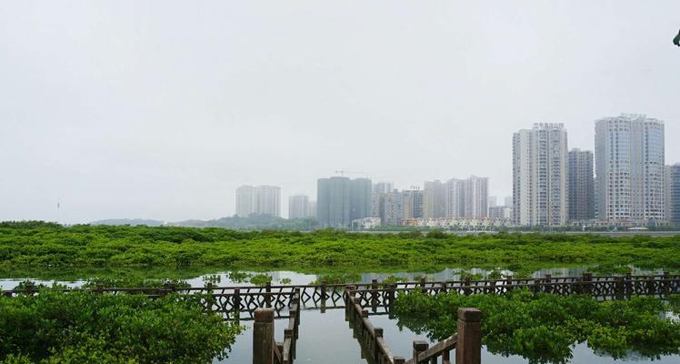 防城港西湾沙滩钓鱼技巧（探寻防城港西湾沙滩钓鱼的诀窍）  第1张