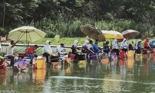 钓鱼技巧大揭秘（掌握钓池中的捕鱼技巧）  第2张