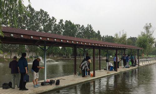 飞钓大师钓鱼机技巧剖析（掌握钓鱼机技巧）  第1张