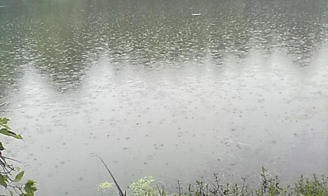 飞龙湖钓鱼技巧教学（掌握飞龙湖钓鱼的技巧）  第3张