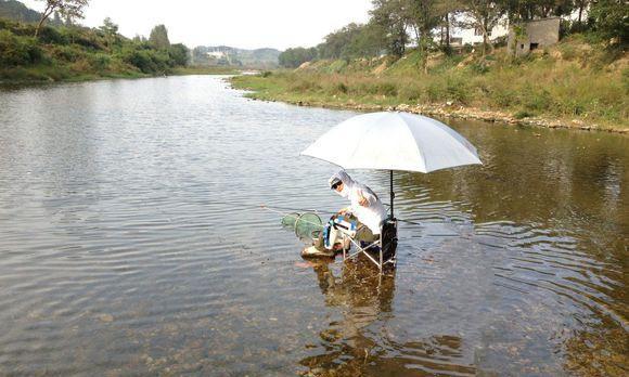 飞龙湖钓鱼技巧（掌握飞龙湖钓鱼的技巧）  第2张