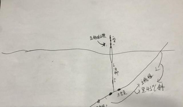 飞铅钓鱼技巧（掌握飞铅钓鱼的关键技巧）  第1张